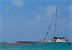 Paseo en catamaran.