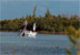 Pesca.