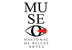 Museo de Bellas Artes. Logo.