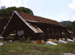 Pinares de Mayarí. Cabana