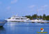 Marina, Cayo Largo del Sur