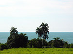 La Demajagua. View from the farm